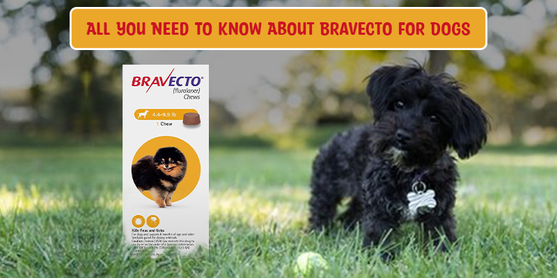 CVC Bravecto for Dogs