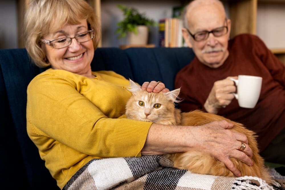 cat with old parents