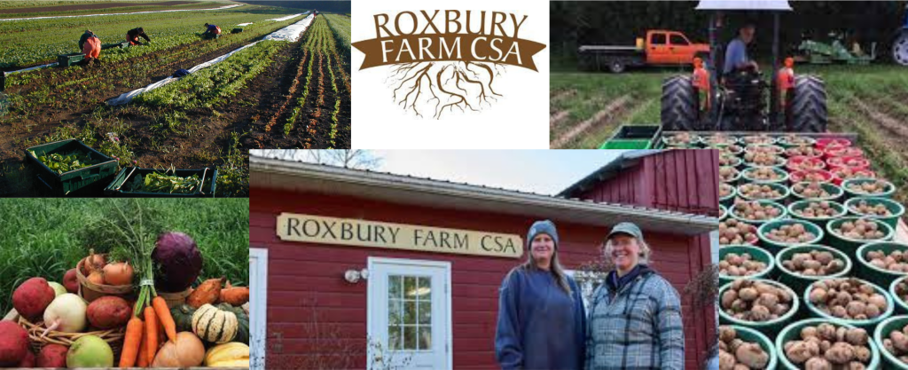 RoxburyBanner 1024x417 1