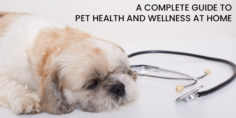 An Owners Guide to health and wellness at home