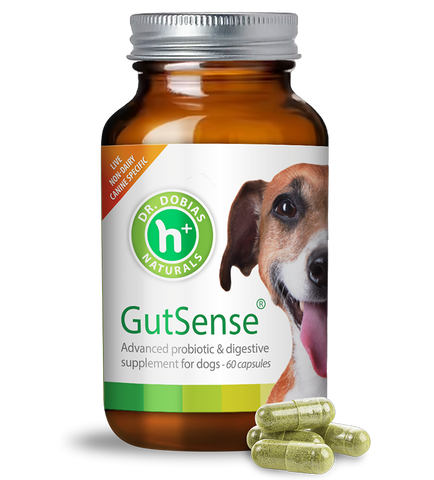 Dr. Peter Dobias' GutSense-Advanced pre and probiotics and gut health support for dogs