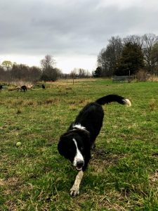 IMG 4508 4 1536x2048 1