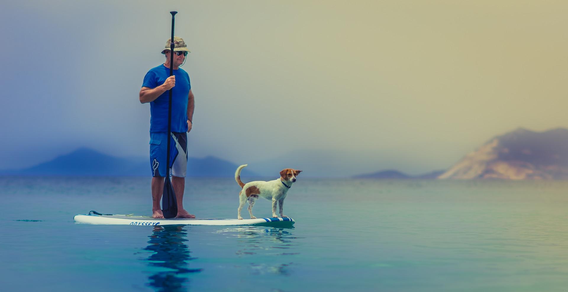 standup paddleboarding 1838969 1920