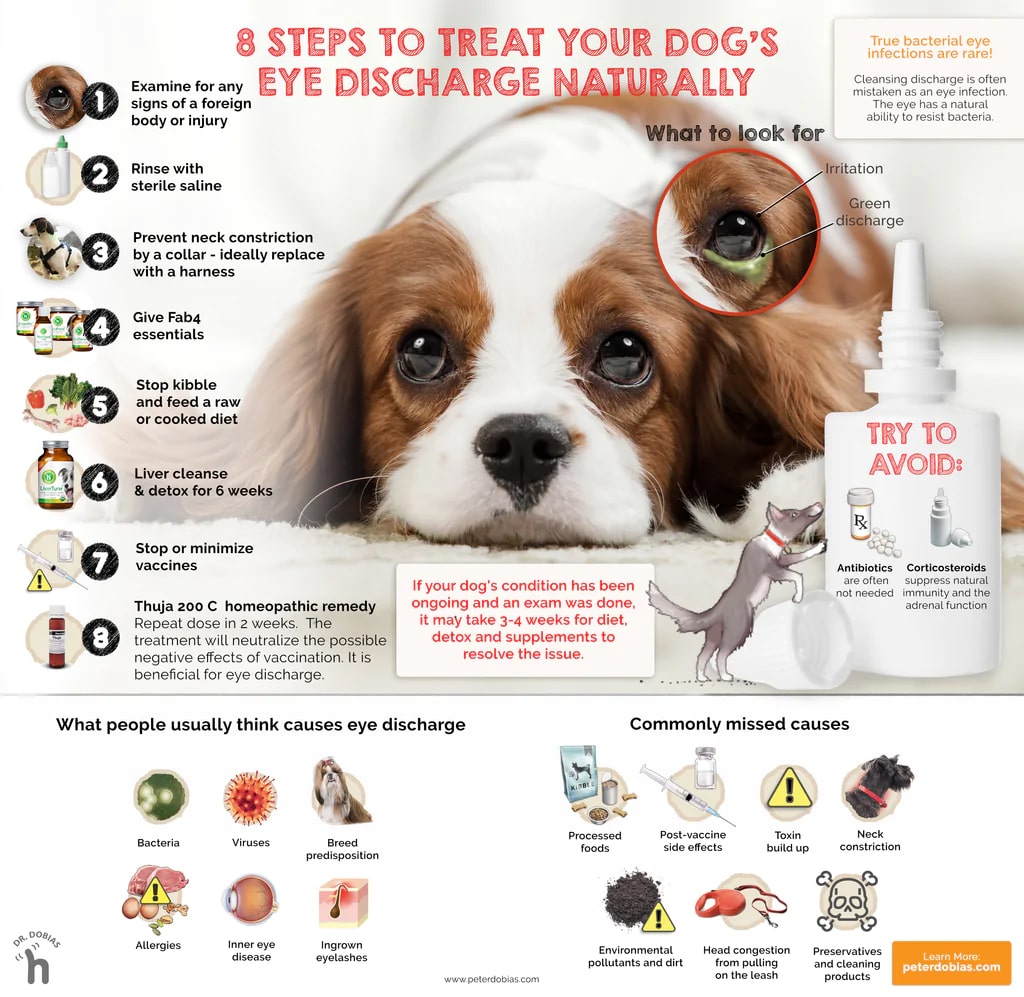 how to treat dog eye discharge at home