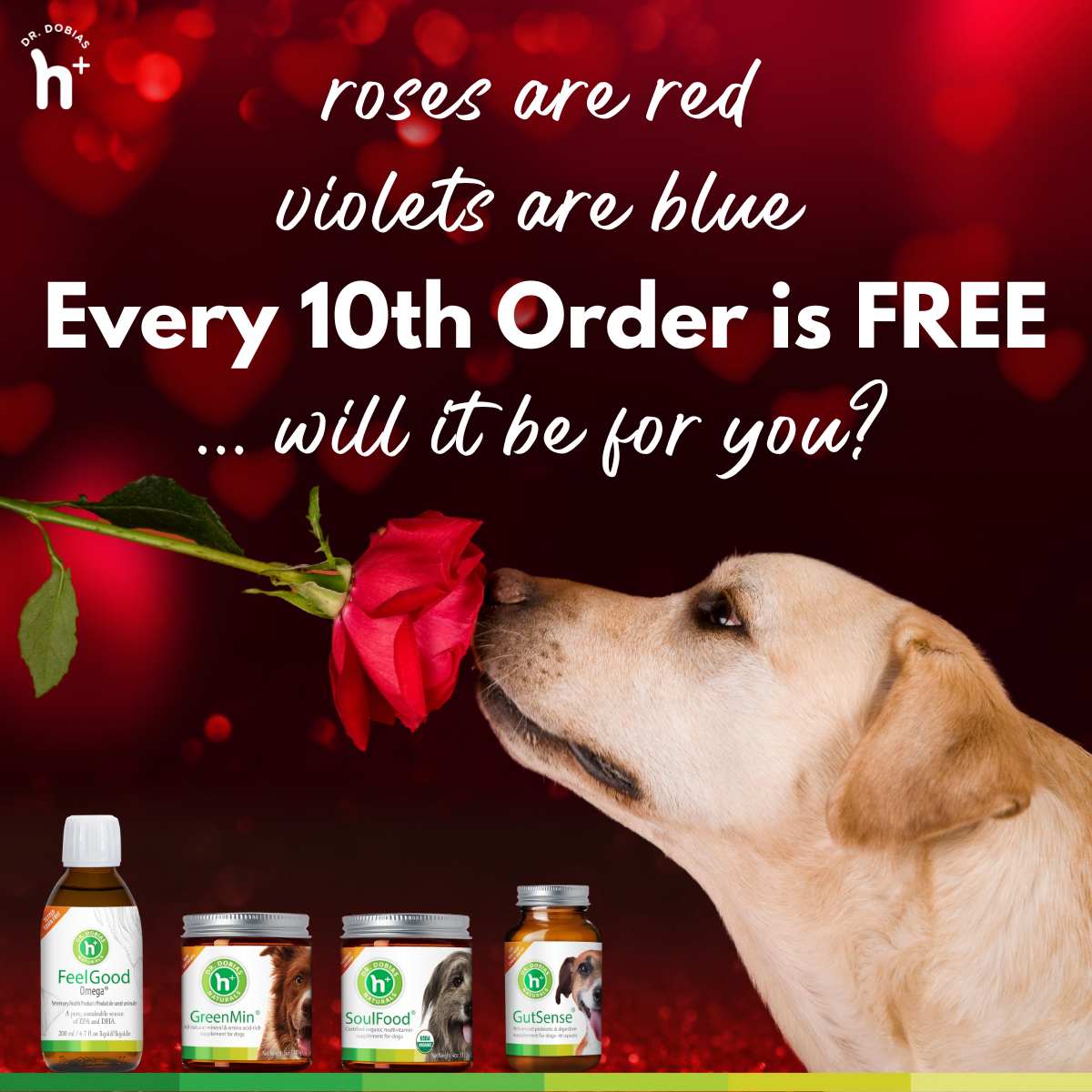 Every 10th order is FREE