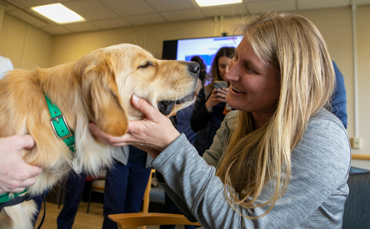 Home 66 wp header logo 4