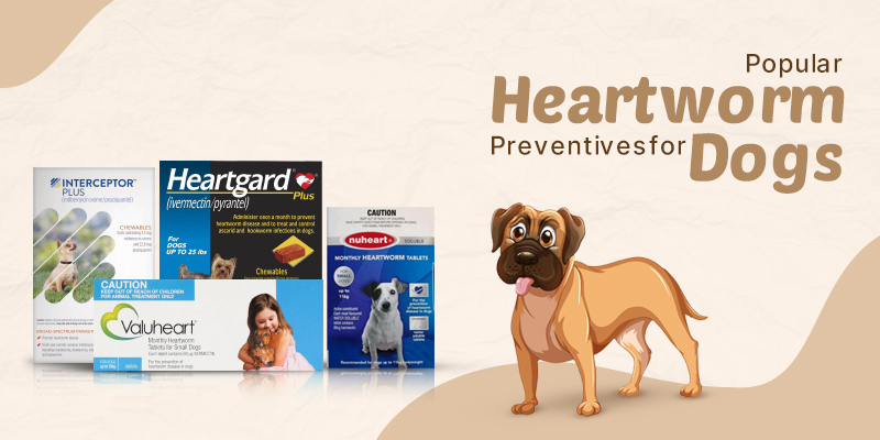 CVC Blog 5 Best Heartworm Medicines for Dogs copy 1