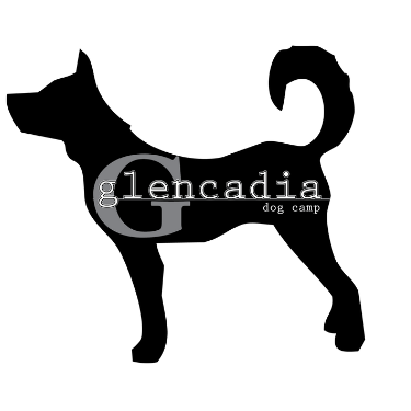 Glencadia Dog Camp Logo, Black Dog with Glencadia Dog Camp Text Overlayed