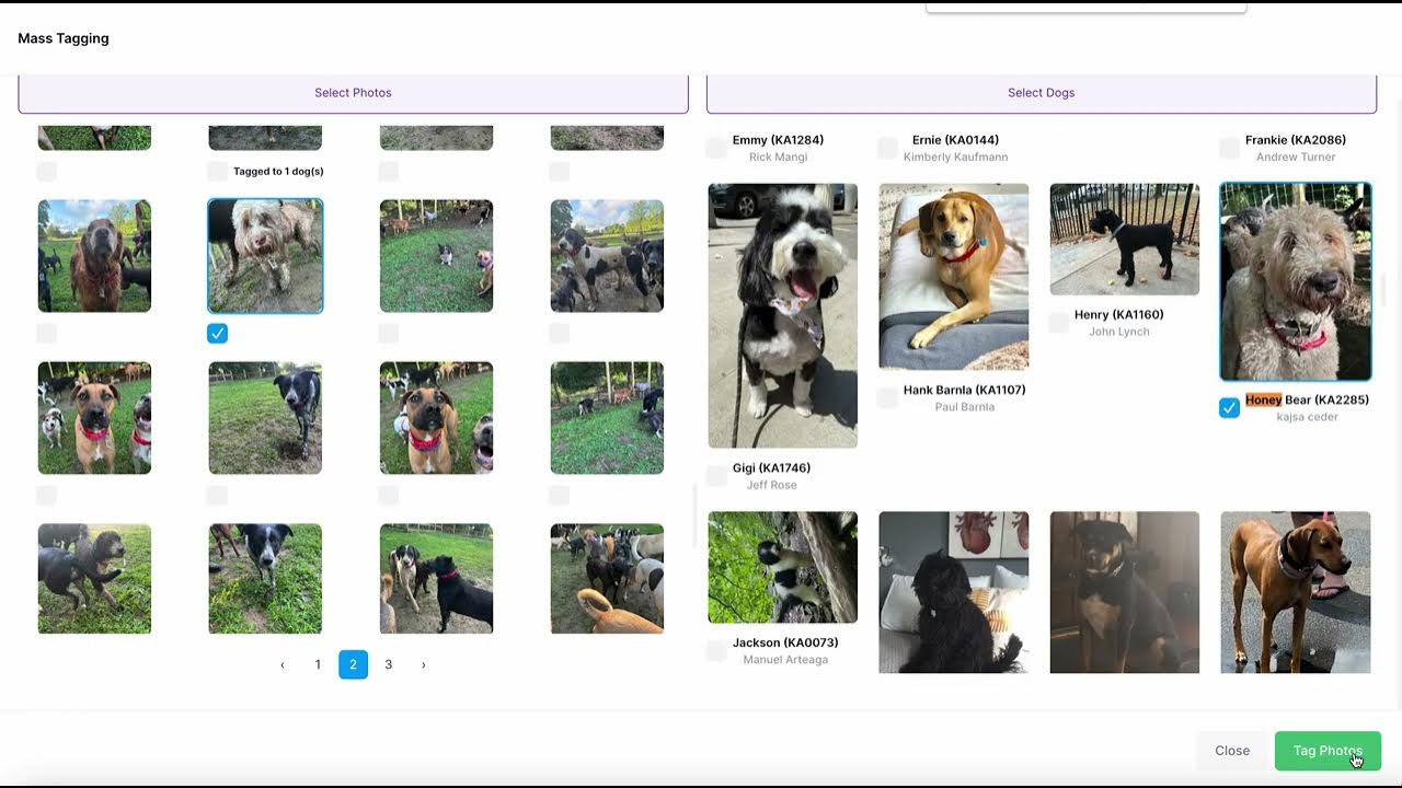 A screenshot of the manual Photo Tagger that is part of GRS (Glencadia Reservation System) that has now been mostly replaced by Spot Spotter the AI Dog Tagging System implemented by Glencadia Dog Camp to tag photos of campers with AI