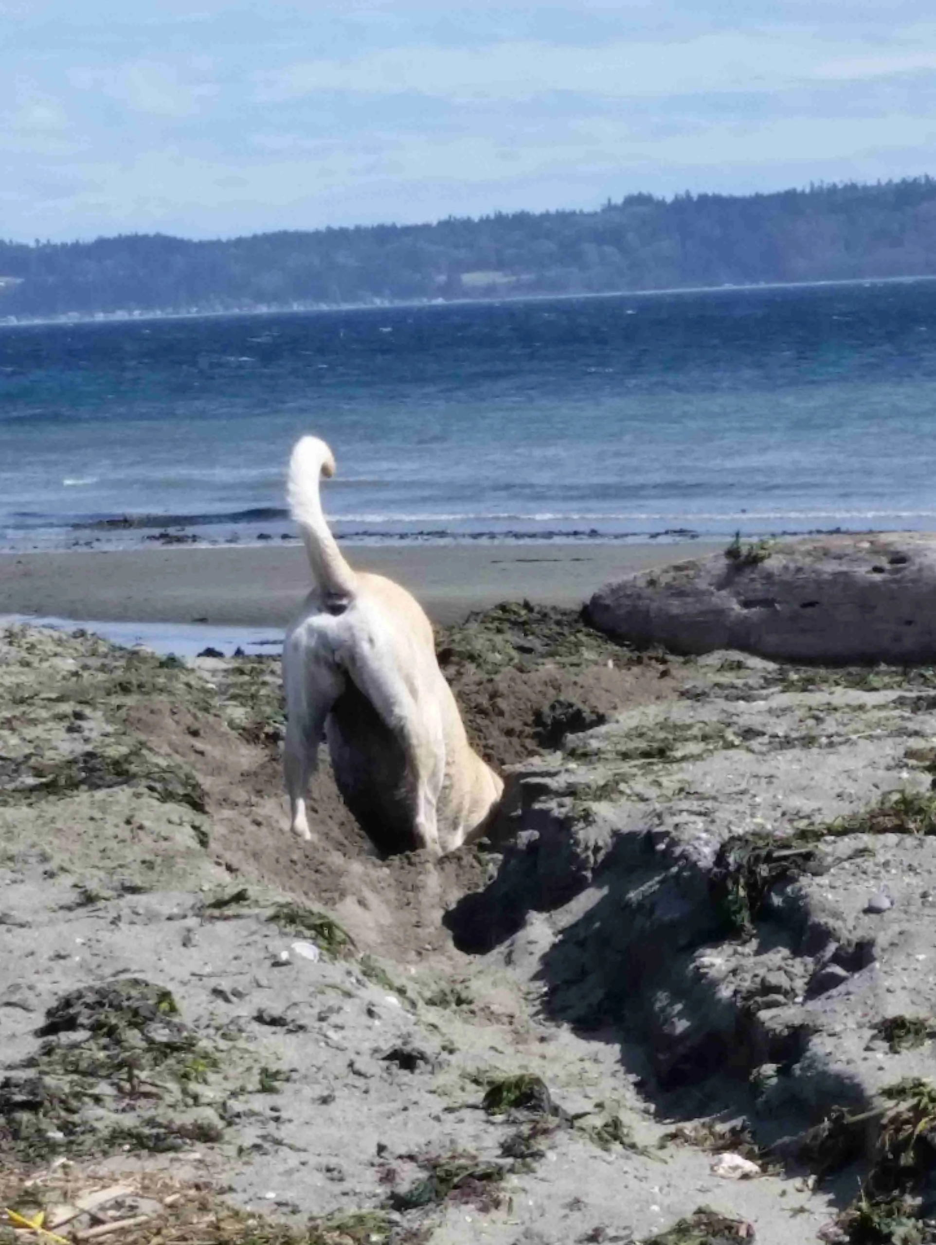 Home 68 wp header logo 110 scaled