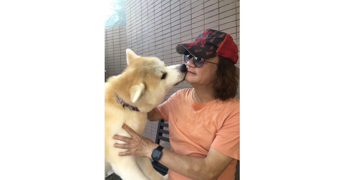 Home 37 wp header logo 13