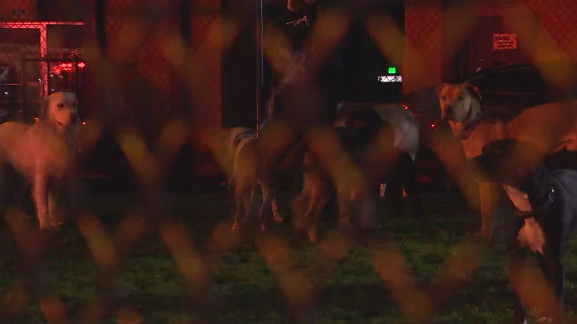 Home 71 wp header logo 362