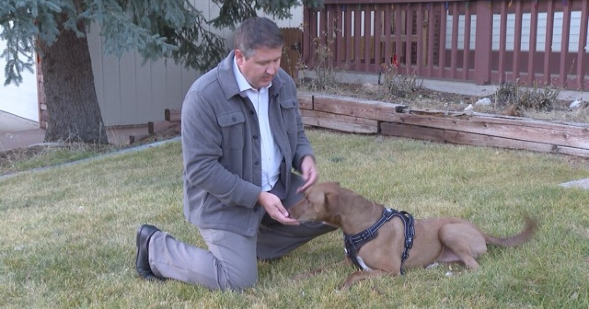 Home 35 wp header logo 442