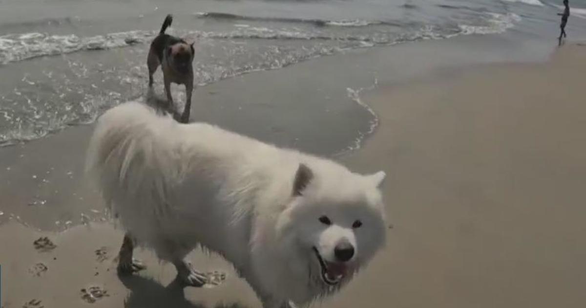 Home 32 wp header logo 600