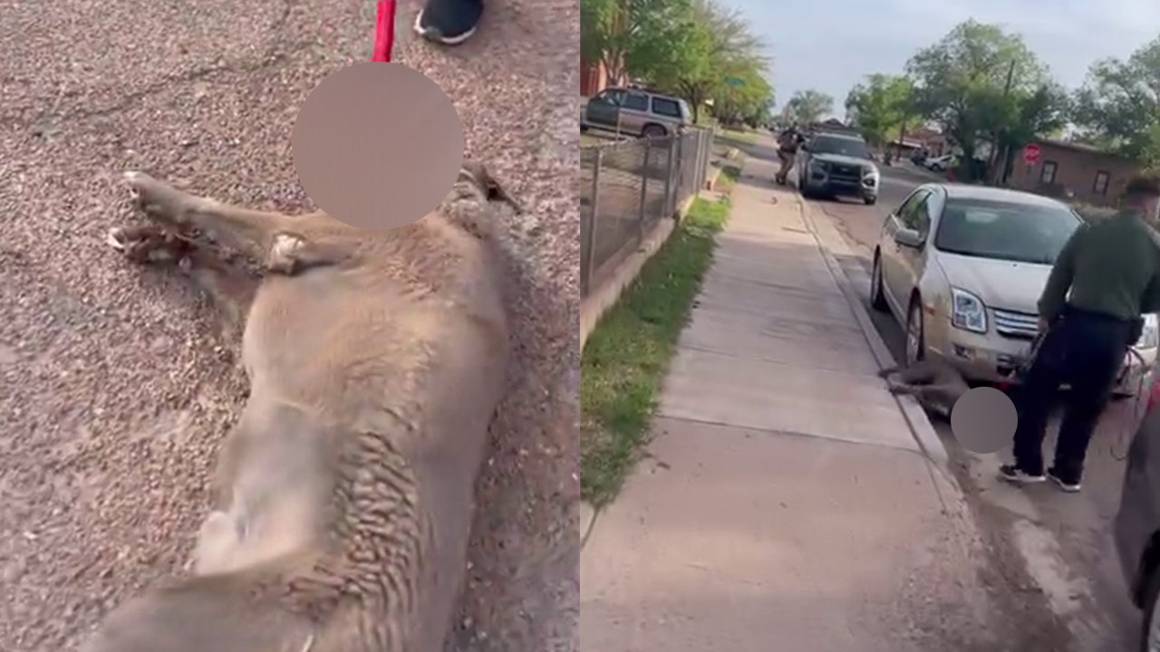 Home 36 wp header logo 279