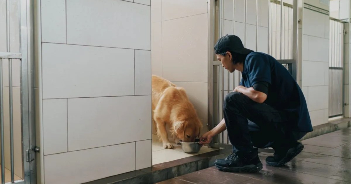 Home 34 wp header logo 462