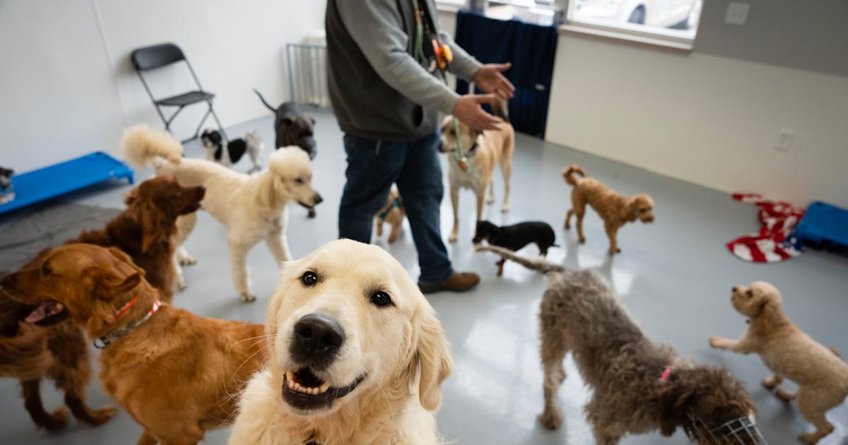 Home 37 wp header logo 641