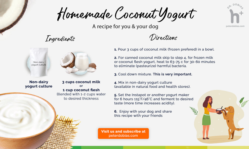 Coconut Yogurt Recipe Infographic