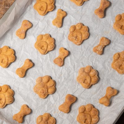 Bone and paw-shaped dog treats on cookie sheet