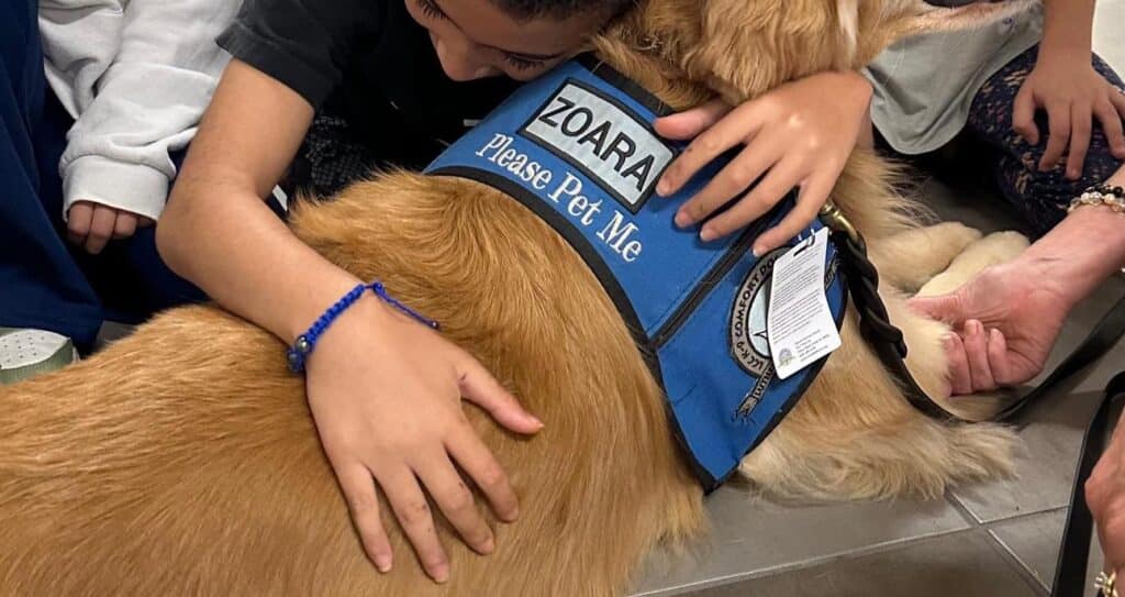 Comfort dog at the Apalachee High School 1024x543 1