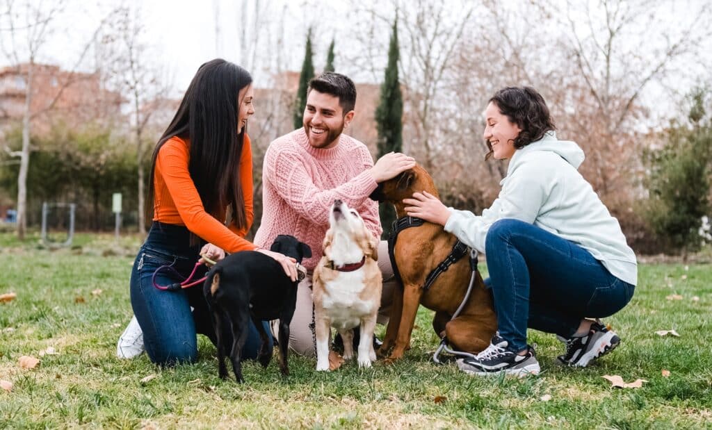 Individual with autism and dogs at the park interacting