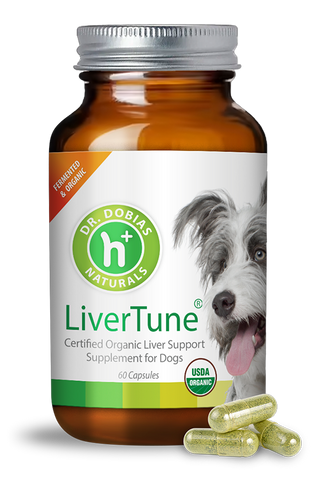 Dr. Peter Dobias' LiverTune- Naturally Fermented Liver Support and detox for dogs