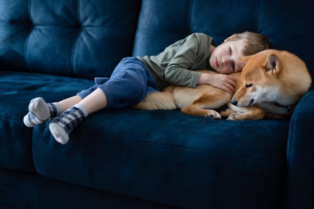 Preschool boy watching TV with his Shiba inu dog on blue sofa.