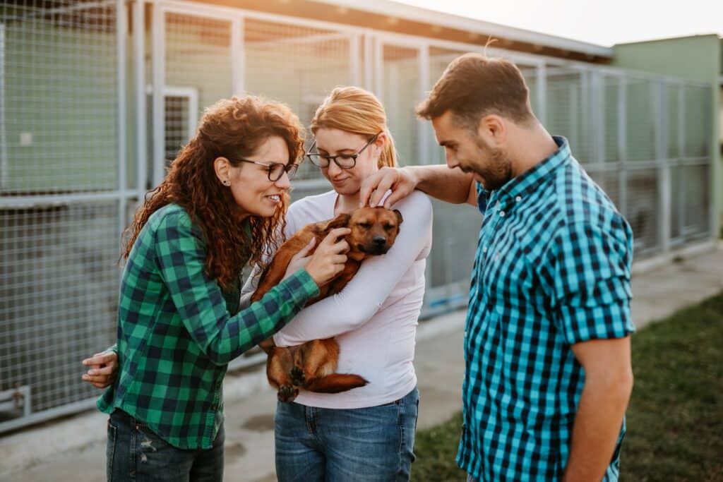 Young good looking couple wants to adopt beautiful dog at animal shelter