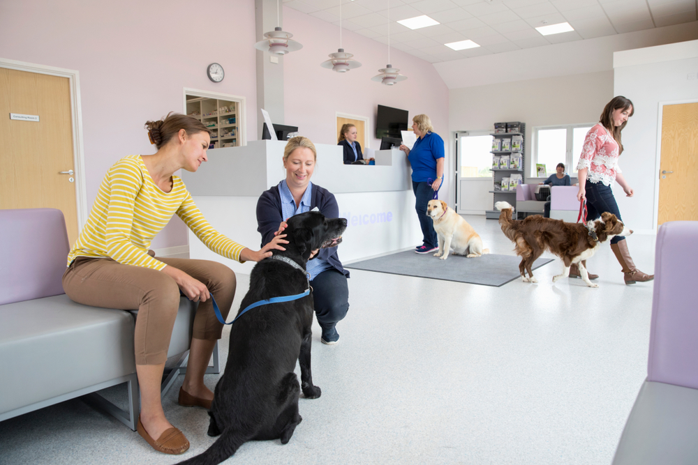 dogs in waiting room at vet clinic