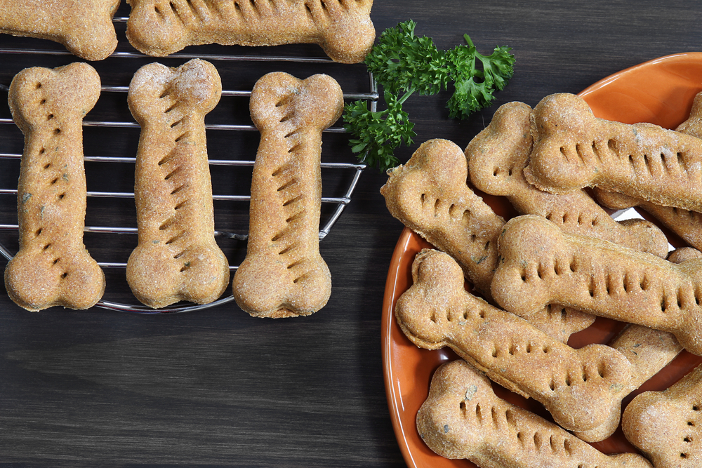 homemade dog treats