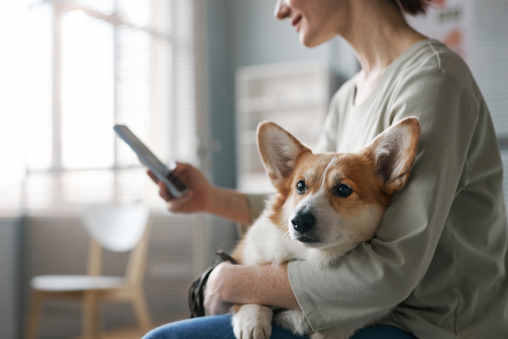 woman using her phone with her dog on her lap