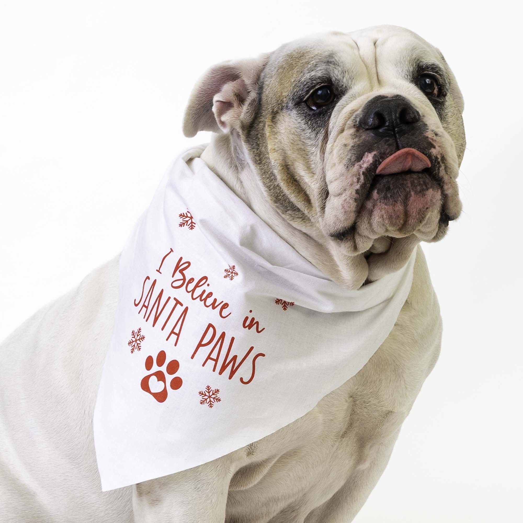 1 SantaPawsBandana