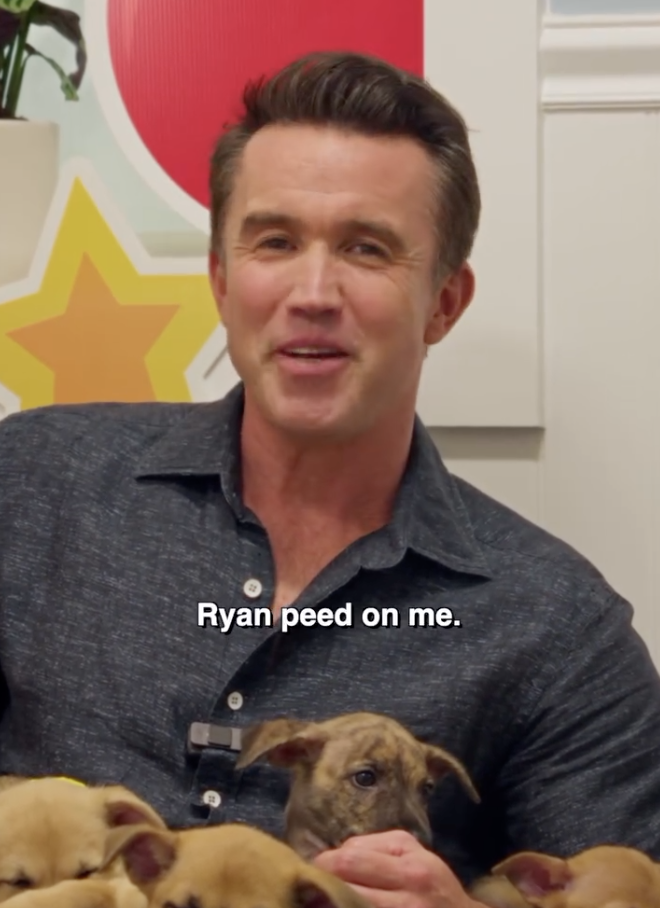 Adopt Ryan Reynolds 1 