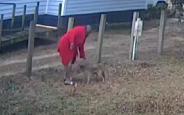 Bathrobe Wearing Mans Bold Move Saves Dog from Coyote Video Hits 6M Views 1