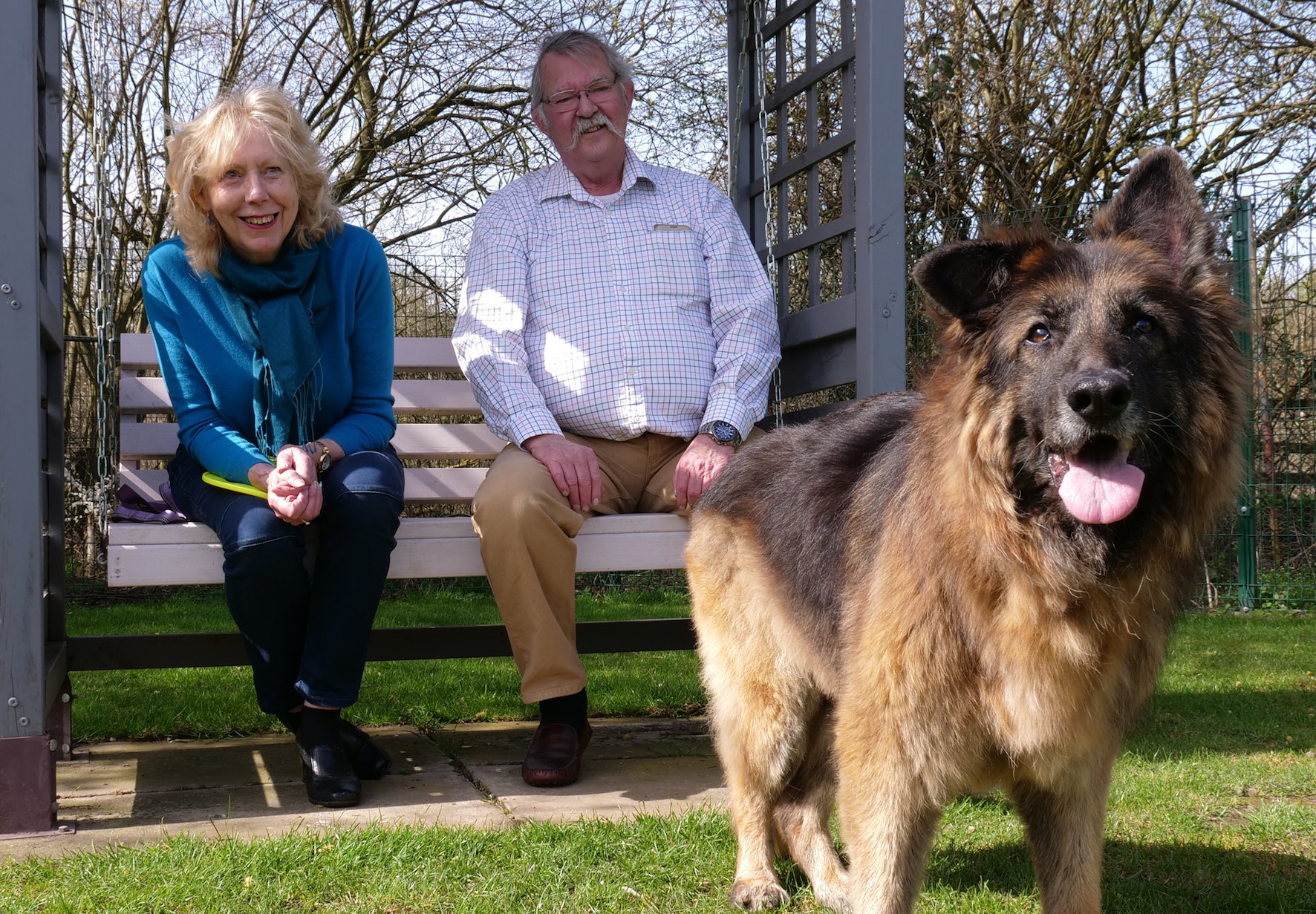 Couple adopted German Shepherd