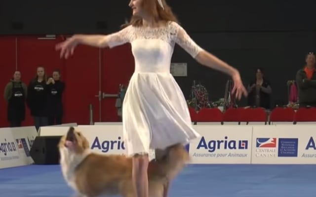 Dancer and Her Border Collie Captivate Audiences with Amazing Routine at World Championship 2