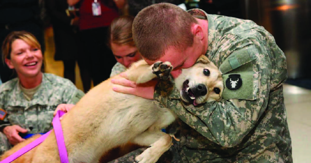 Feature Soldier Hugging Dog on Knees 01