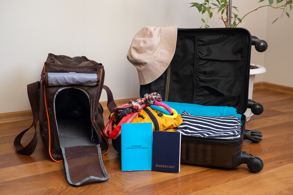 Packing luggage for travelling with pets