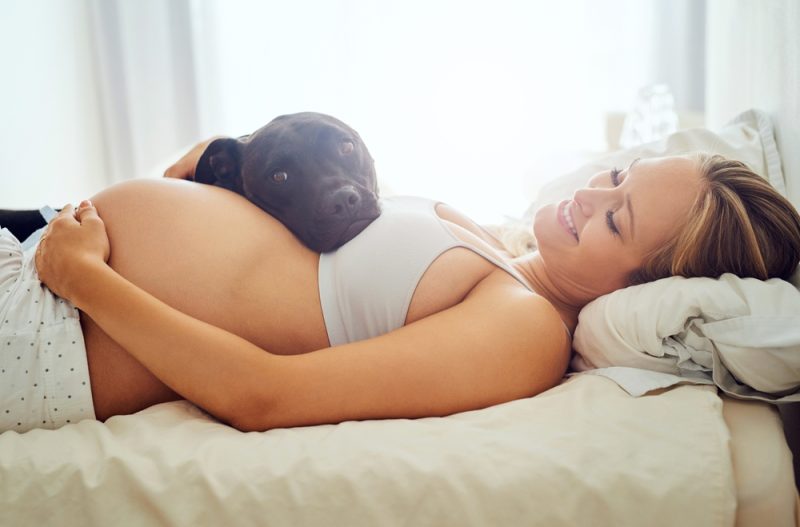 Pregnant woman lying in bed with dog