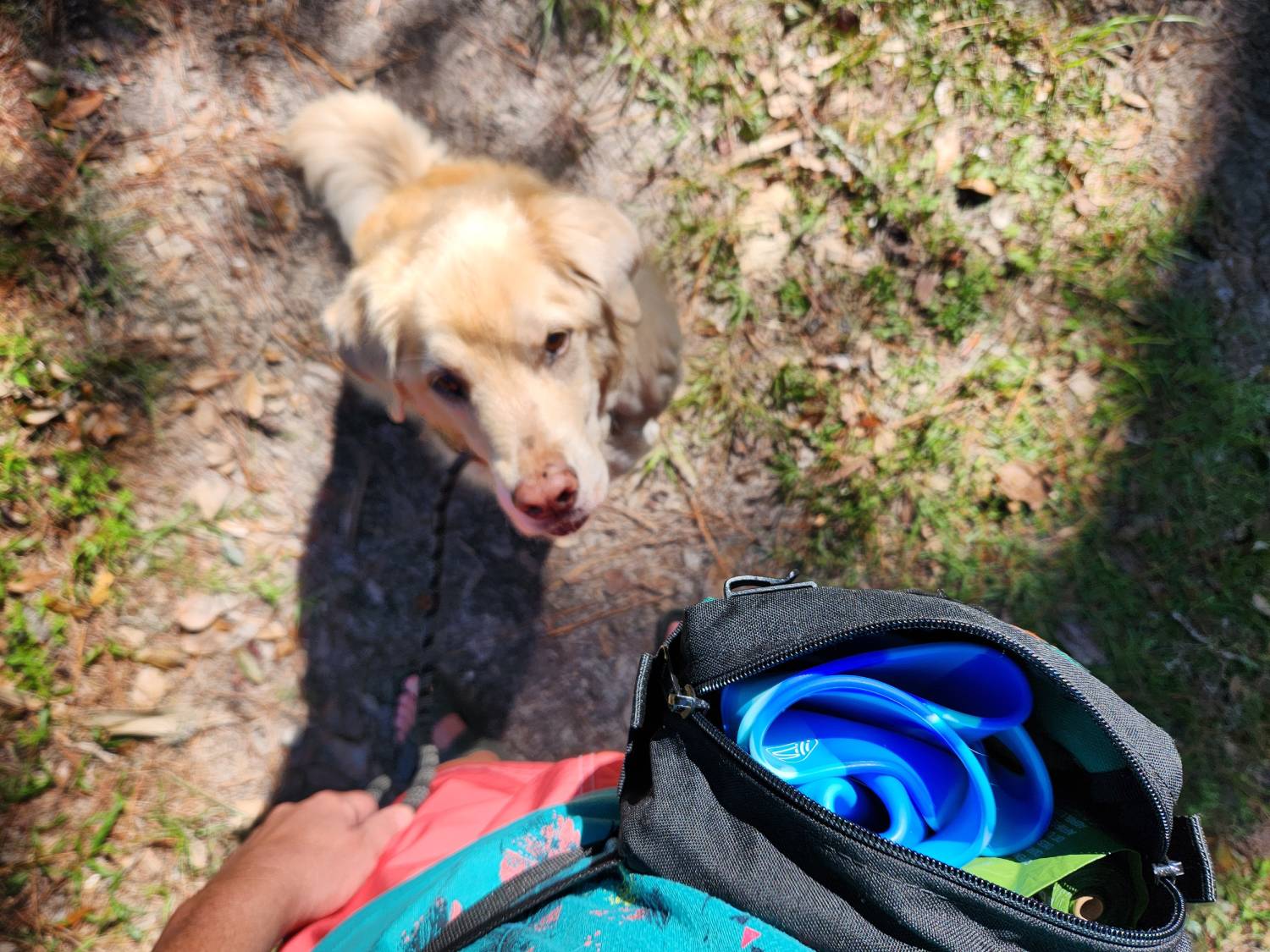 Silipint Aqua-Fur Dog Bowl - owner bringing bowl in a bag