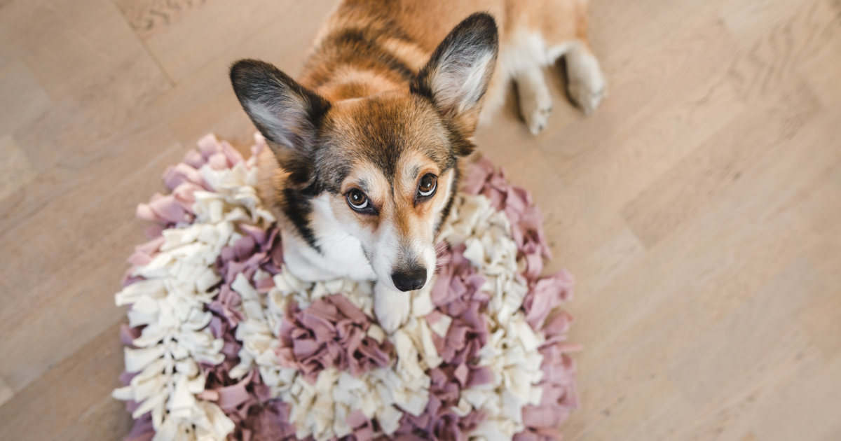 Snuffle mat for dogs