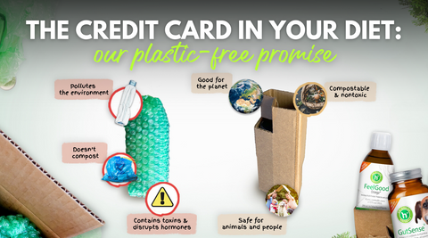 The Credit Card in Your Diet Microplastics Pet Health and Our Plastic