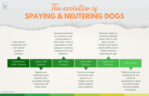 The evolution of spaying and neutering for dogs