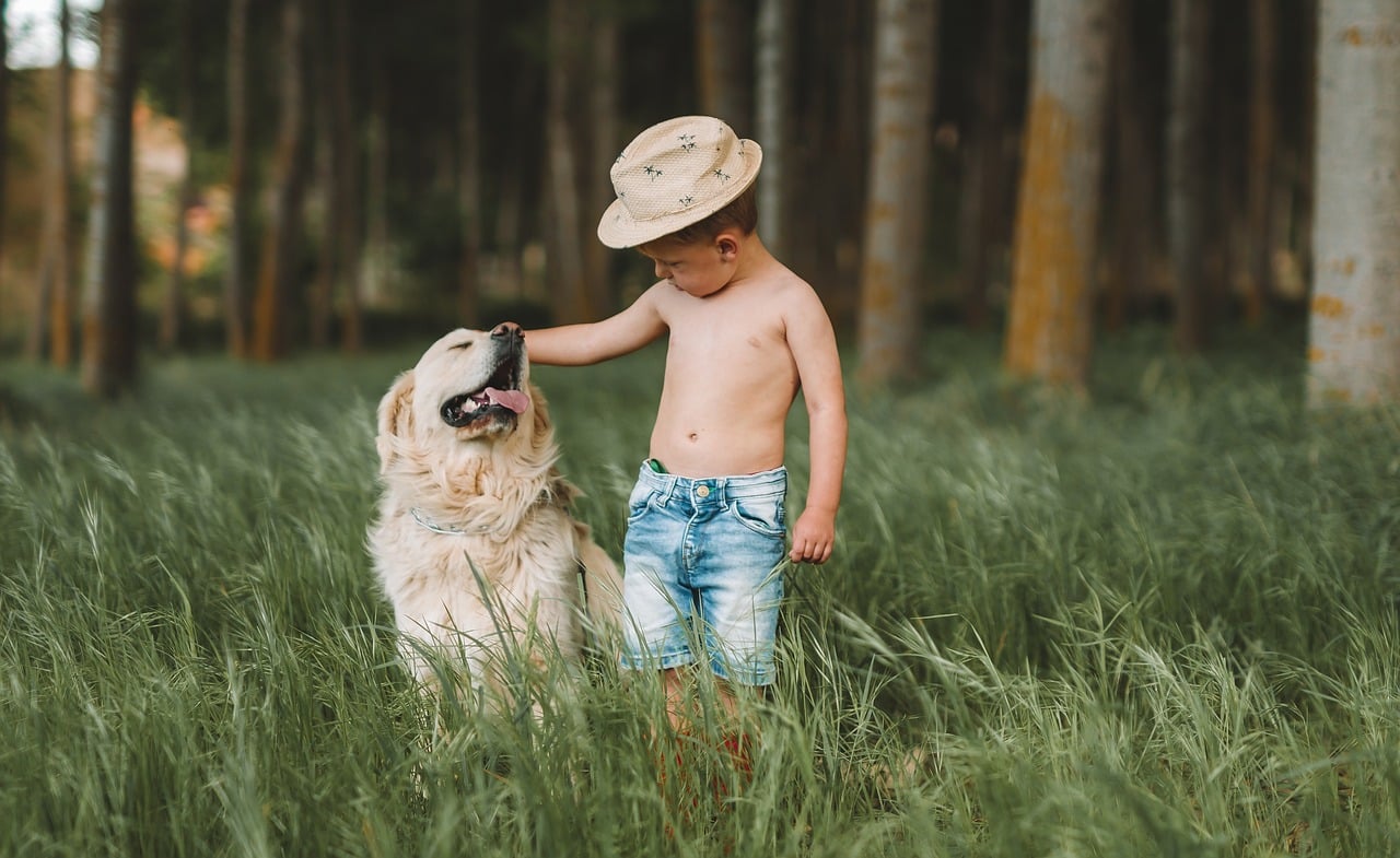 Dog with kid