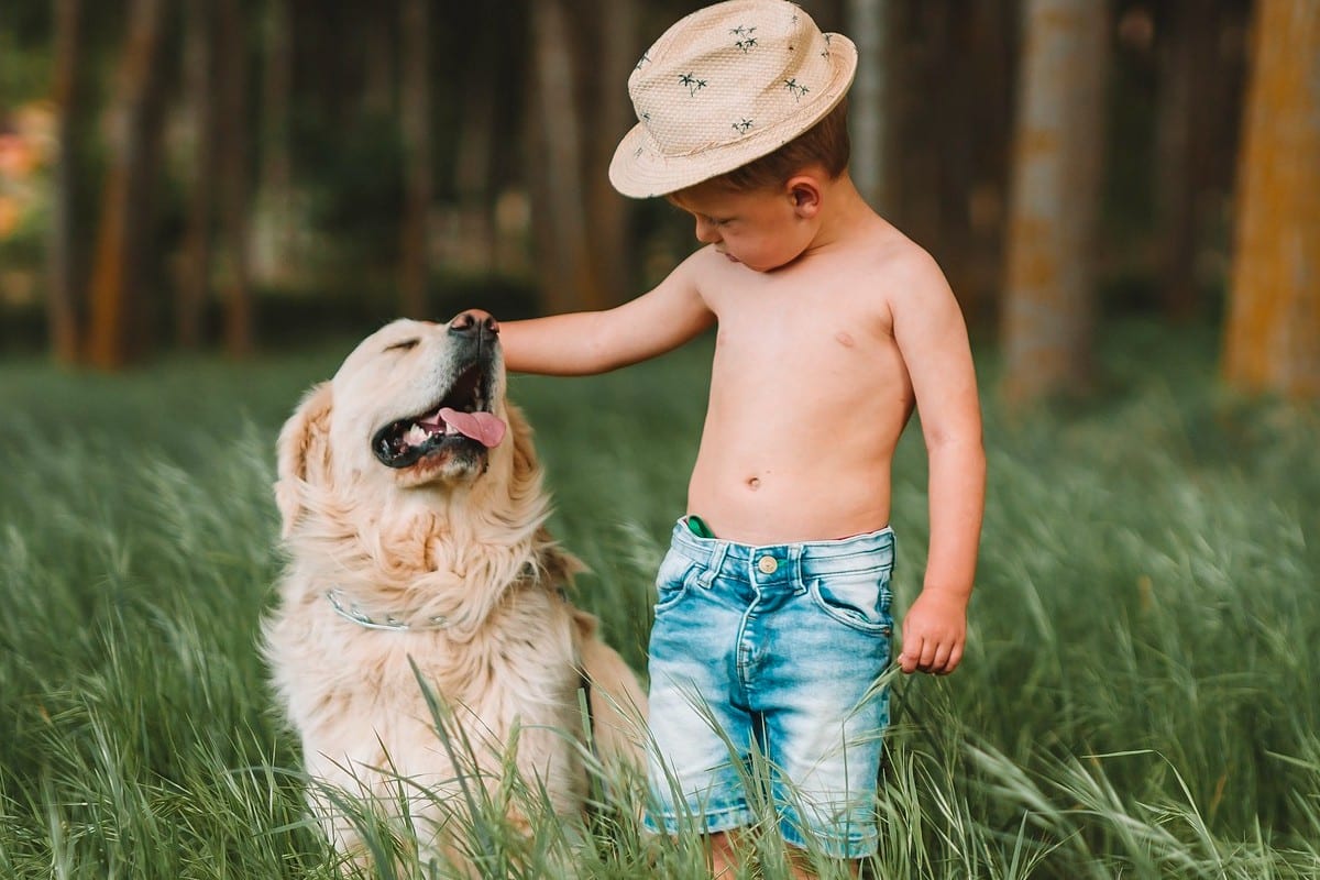 Dog with child