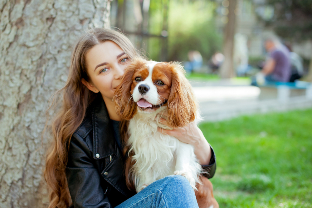 female owner posing with her cavalier king charles spaniel dog at the park