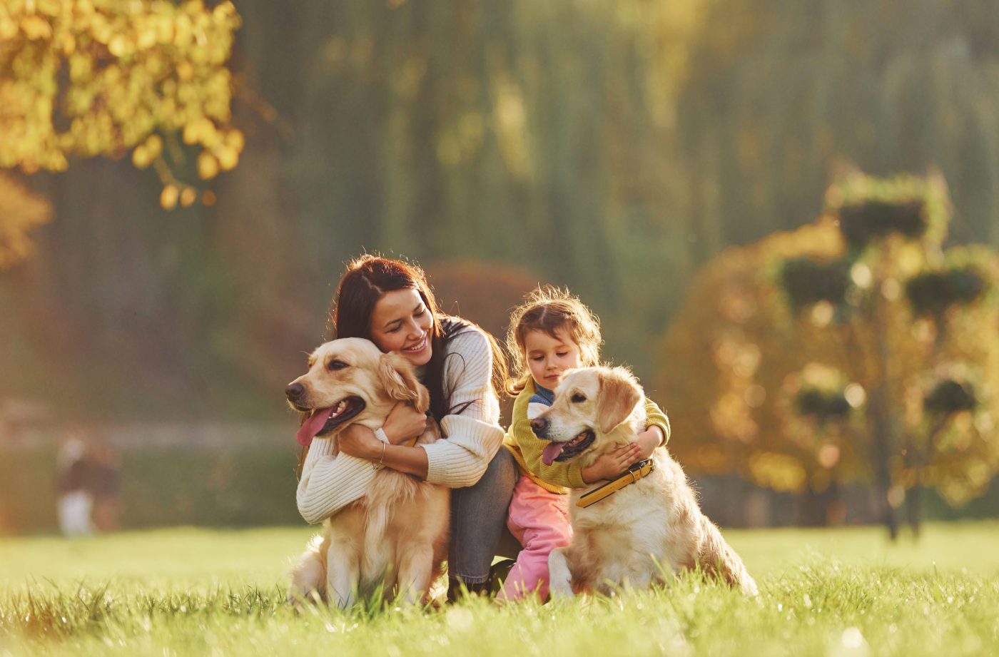 Golden Retriever loving dogs