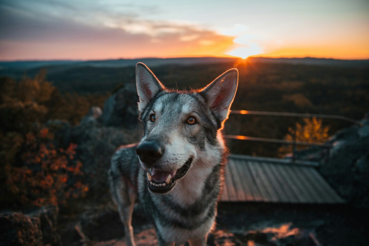 honza reznik 1 EHp K88Ck unsplash 1400x933 1