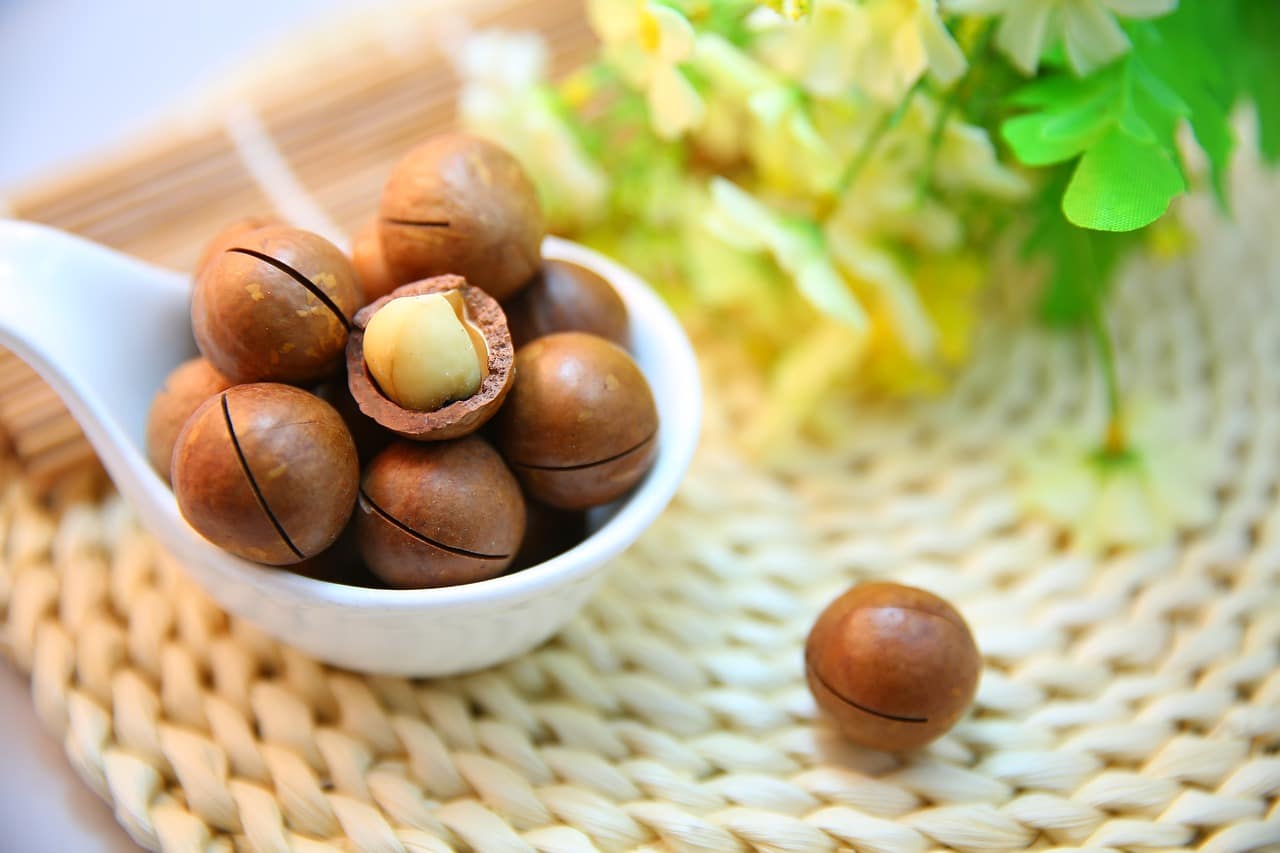 macadamia nuts 1098170 1280 1