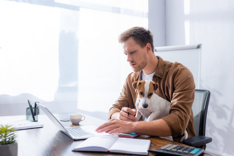 man-using-laptop-while-working-with-jack-russell-terrier-dog